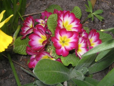 April 2013 04 028.JPG