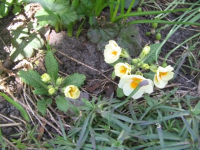 April 2013 04 027.JPG