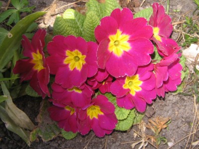 April 2013 04 026.JPG