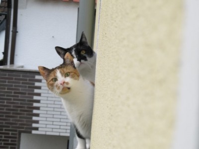 IMG_0336 (640x480).jpg