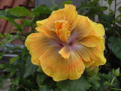 DSC05515 Time for Magic.jpg