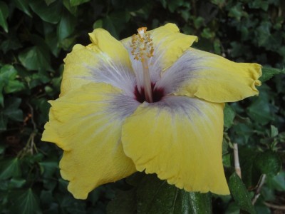 DSC05637 Fifth x Fifth.jpg