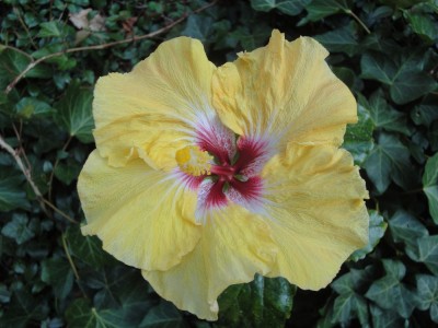 DSC05660 Love Story x M Cool Water 1000px.jpg