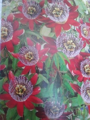 2013-04-26 11.48.49.jpg