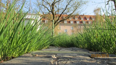 Brotzeit in Bayern.jpg