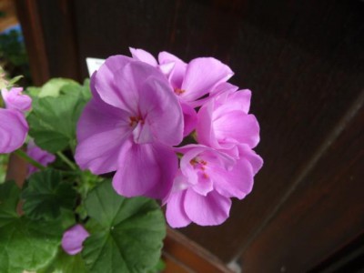 K640_P1060237.JPG