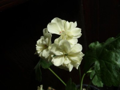 K640_P1060235.JPG