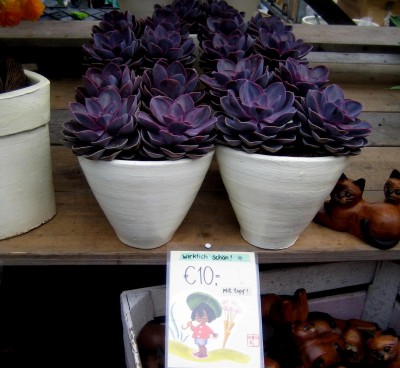 2013-032.jpg