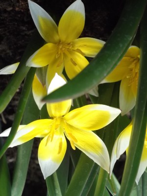 DSCF0900.JPG