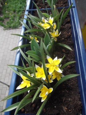 DSCF0896.JPG
