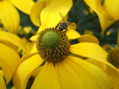 k-2007_08110005.JPG