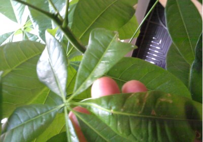 2013-04-29 10.35.35.jpg