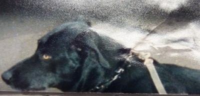 006.JPG