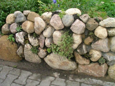 Steinmauer 008.JPG