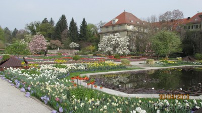2013_1353.jpg