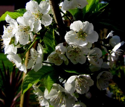 2013-0101.jpg