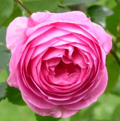 PICT0420.JPG