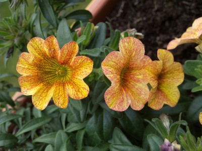 2013-05-01 16.44.54.jpg