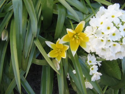 Mai 2013 01 001.JPG