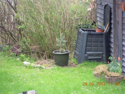 DSCN0198.JPG