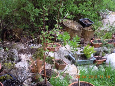DSCN0196.JPG