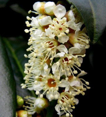 2013-1-007.jpg