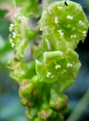 2013-1-006.jpg