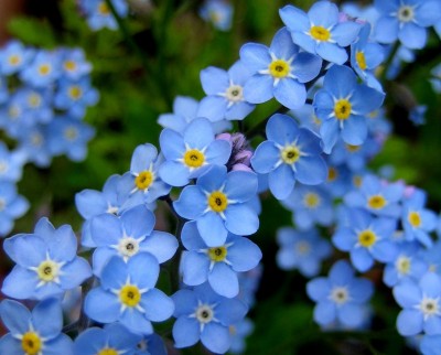 2013-1-005.jpg