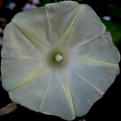 2013-1-001.jpg