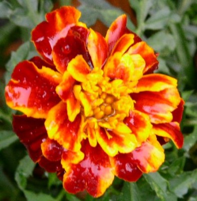 PICT0411.JPG