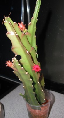 von Anne 02.05.13.jpg