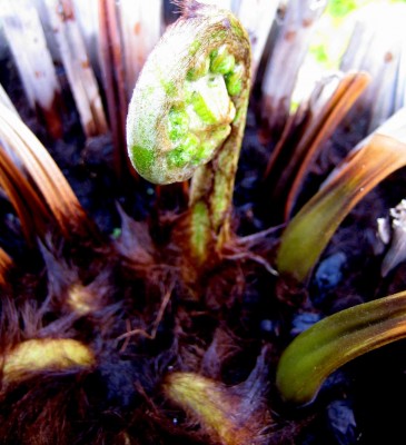 2013-1-035.jpg