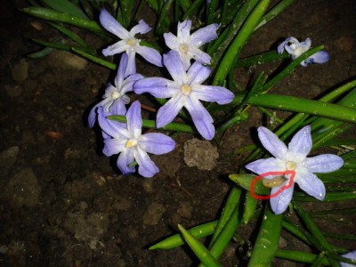 2013-04-22 20.30.04.jpg