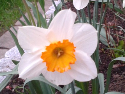 2013-05-03 20.30.30.jpg