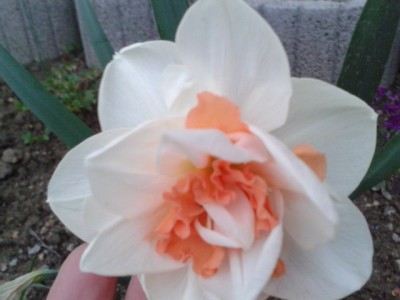 2013-05-03 20.29.12.jpg