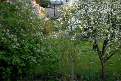 Frühling2013 100yy.jpg