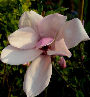 2013-1-039.jpg
