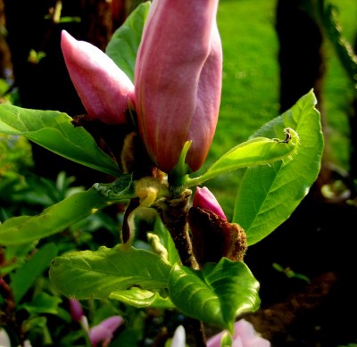 2013-1-038.jpg