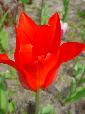 DSC00213.JPG