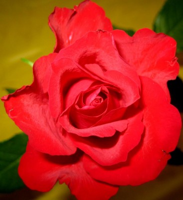 2013-1-1185.jpg