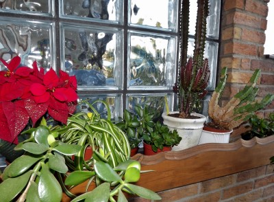 DSCF5261 (800x588).jpg