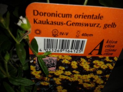 2013-05-05 20.27.32.jpg