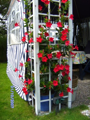 BILD0003.JPG