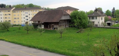 Ziegen.jpg