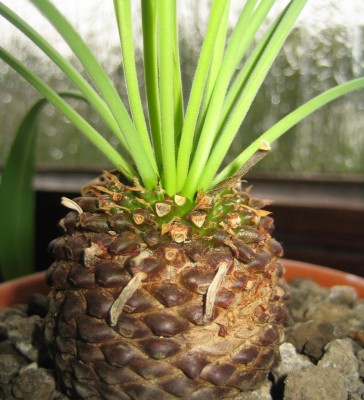 2013 087.jpg