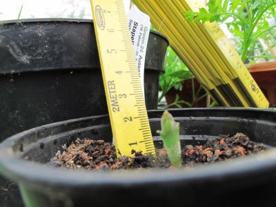 07.05.13 026.JPG