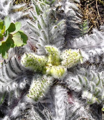 Kopie von bilderbuch 459.jpg