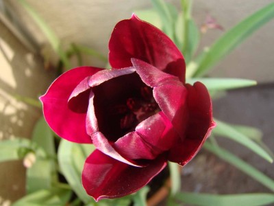 DSC02622.JPG