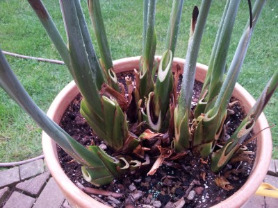 20130508_201633.jpg