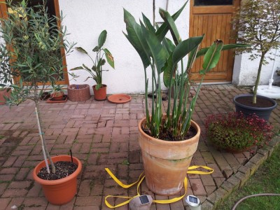 20130508_201610.jpg